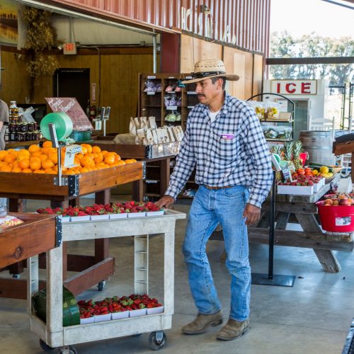 Worker with strawberries in farm stands