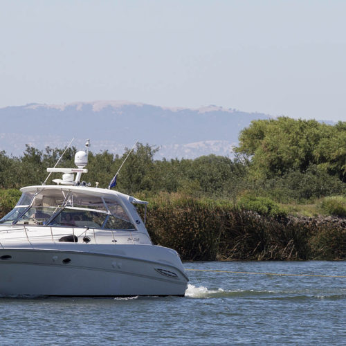 Boat out in the Delta waters