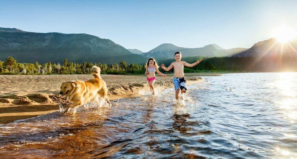 Kids and dog playing at Kiva Beach