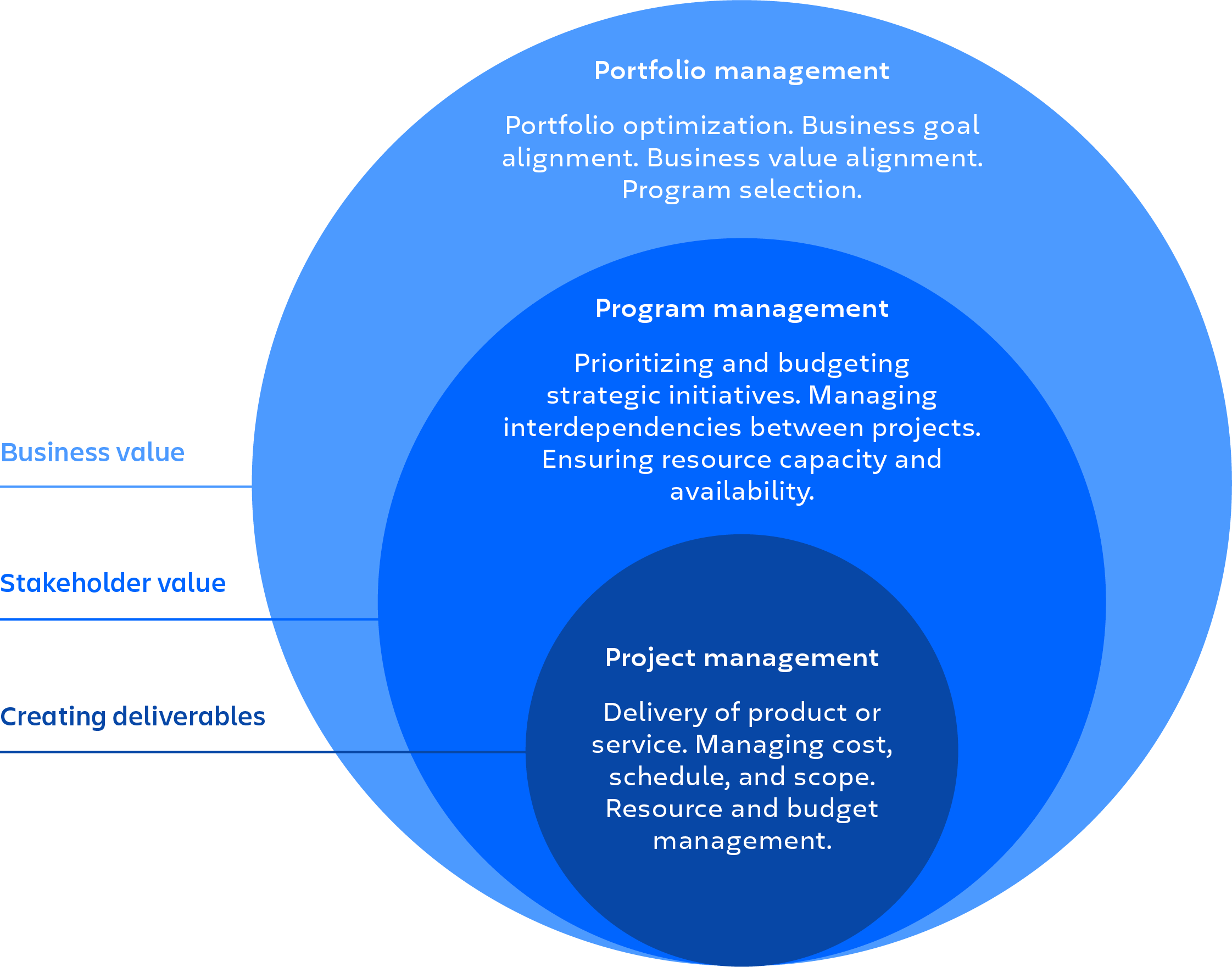 Gestione del portfolio Ottimizzazione del portfolio. Allineamento agli obiettivi aziendali. Allineamento al valore aziendale. Selezione dei programmi Gestione dei programmi Assegnazione delle priorità e definizione del budget delle iniziative strategiche. Gestione delle interdipendenze tra i progetti. Garantire la capacità e la disponibilità delle risorse Gestione dei progetti Consegna di prodotti o servizi. Gestione di costi, programmazione e ambito. Gestione delle risorse e del budget.