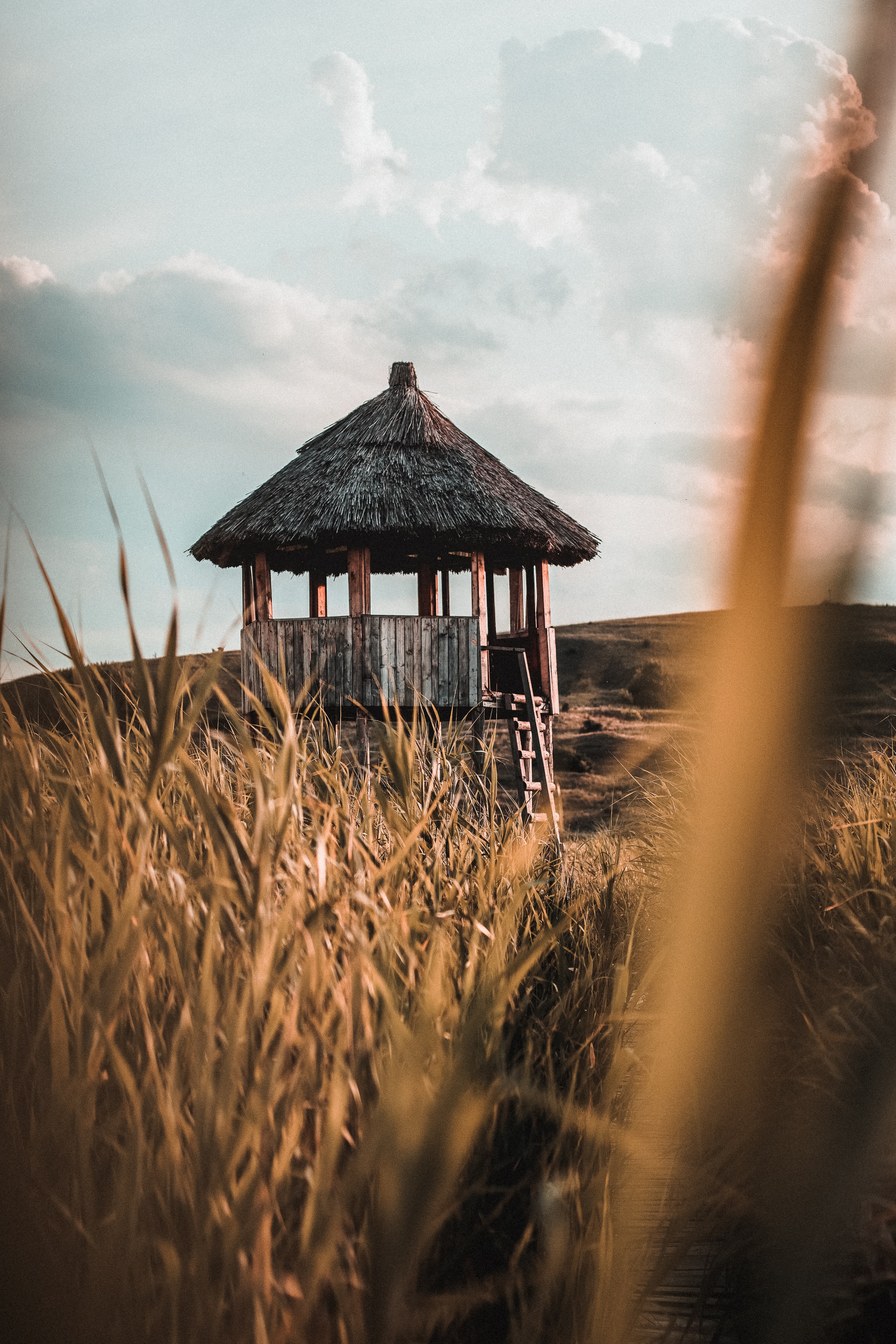 wooden, grass, building, miscellanea, miscellaneous, wood, hut 32K