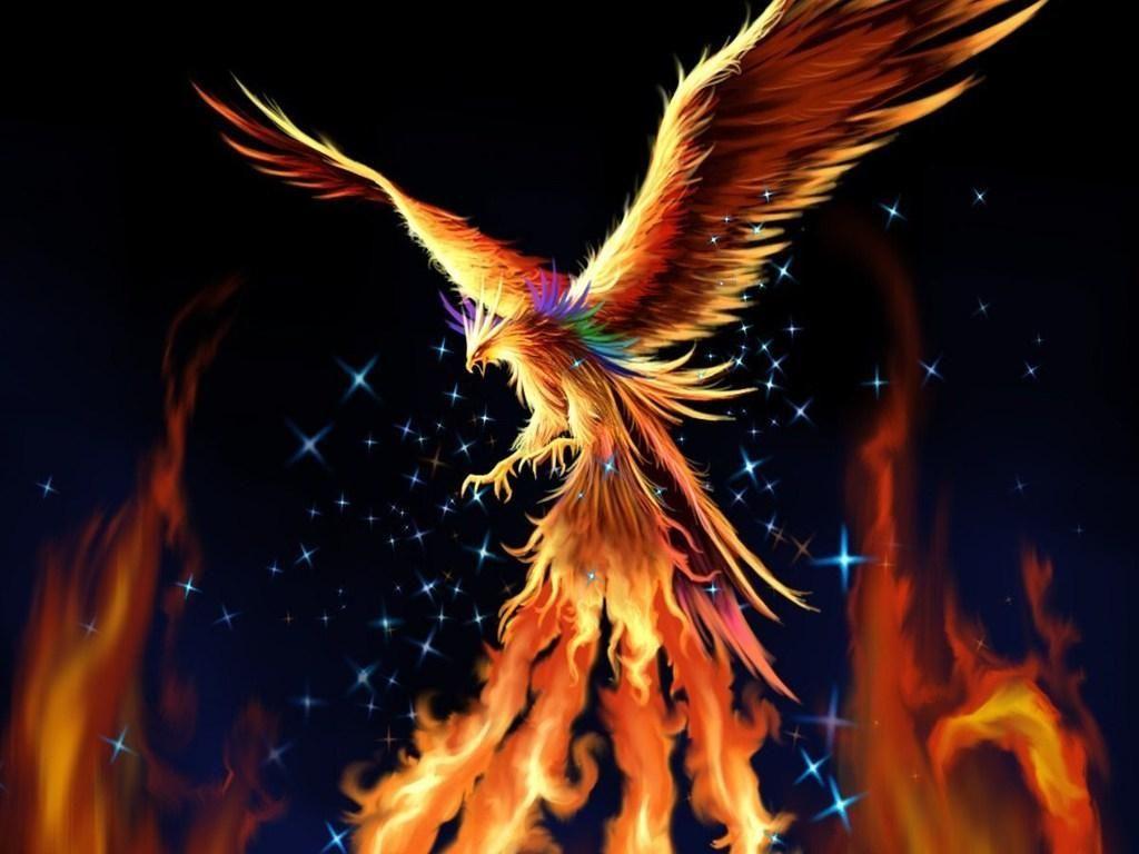 Mythical Phoenix Wallpapers - Top Free Mythical Phoenix ...