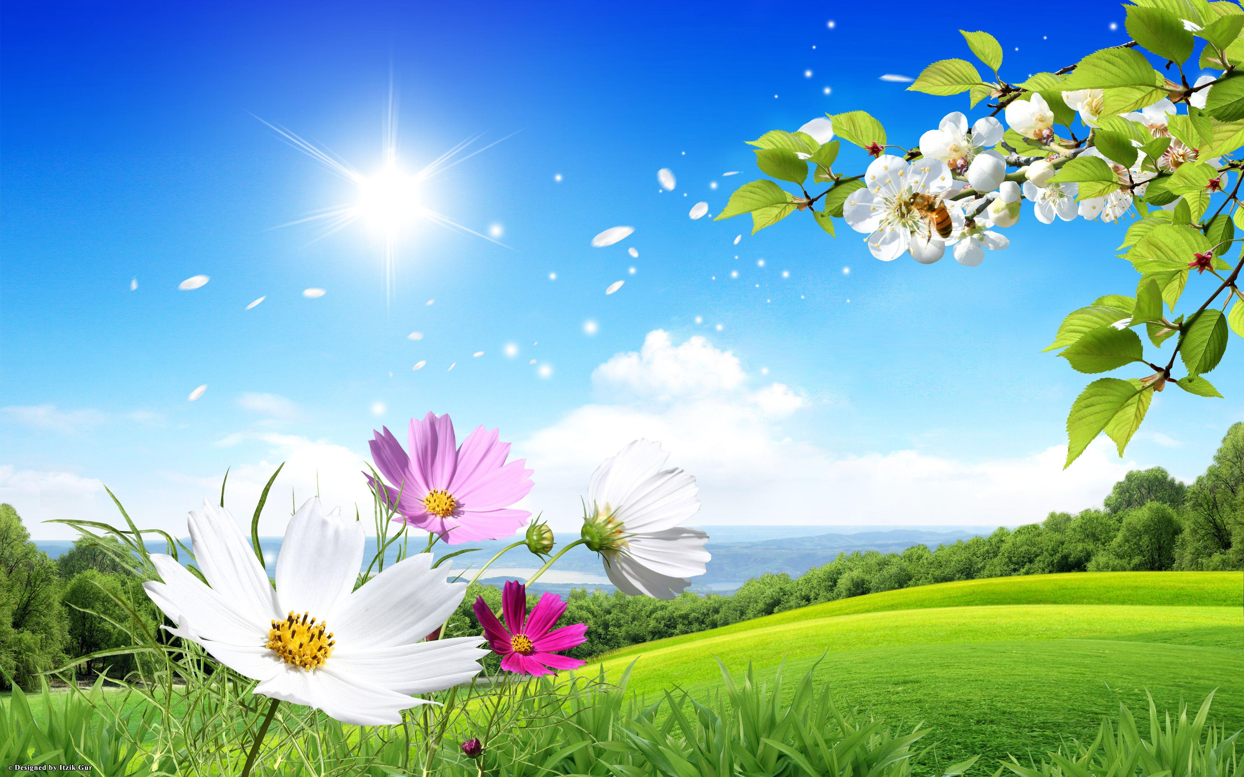 3d Spring Wallpapers Top Free 3d Spring Backgrounds Wallpaperaccess