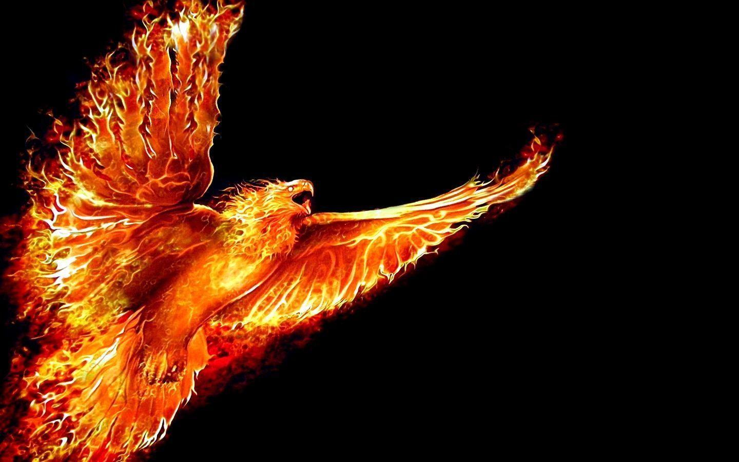 Phoenix Bird Wallpapers - Top Free Phoenix Bird Backgrounds ...