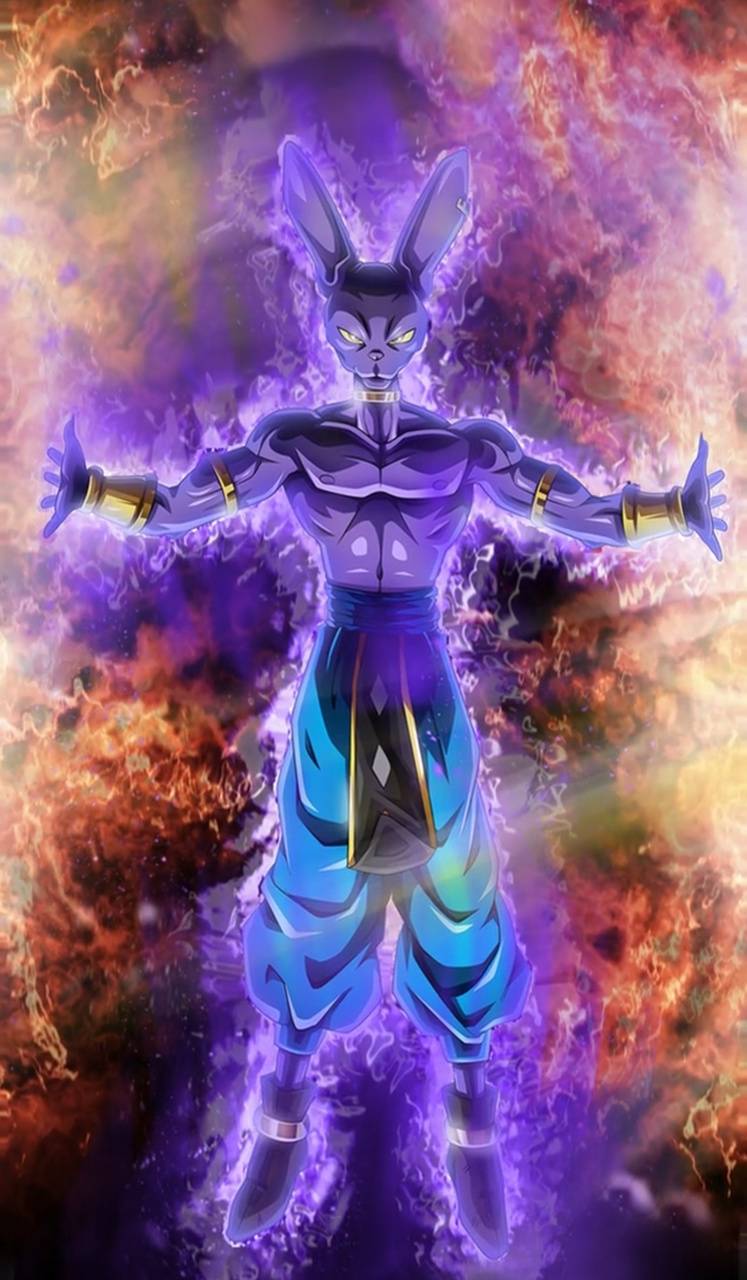 Best 5 Beerus on Hip beerus anime HD wallpaper  Pxfuel