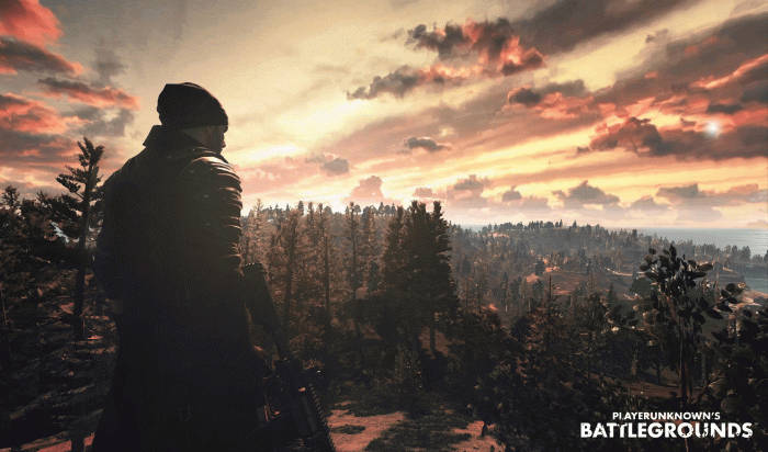 Uomoche Guarda Sopra Una Foresta - Banner Di Pubg Sfondo