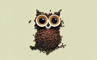 Cute Starbucks Coffe Wallpaper Owl