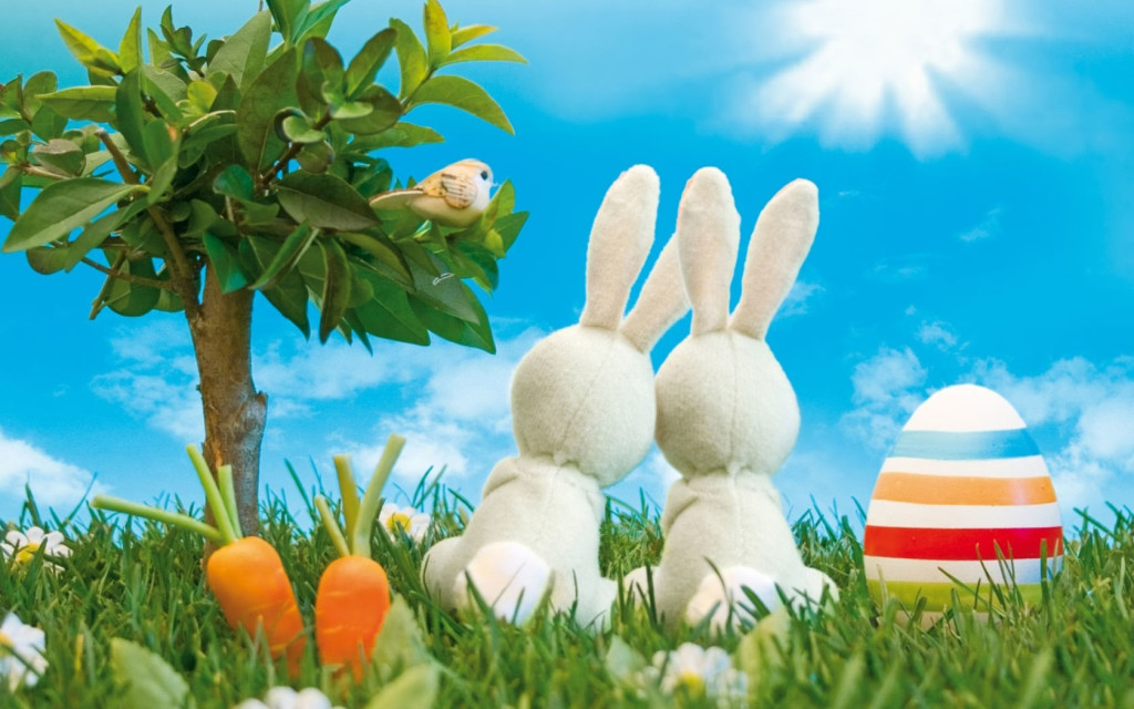 Easter Bunny HD Wallpaper