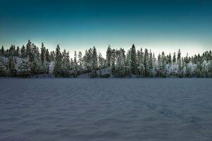 landscape, Winter, Snow, Trees, Forest