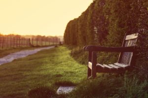 depth of field, Bench