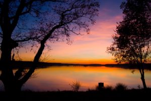 sunset, Landscapes, Trees