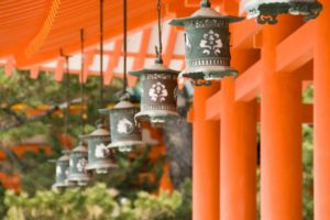 japan, Nature, Winter, Snow, Autumn, Garden, Bokeh