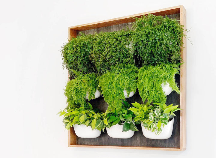 Inspiration: Frame Your Vertical Gardens