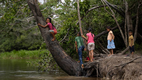 mazzucato76_PEDRO PARDOAFP via Getty Images_rainforestindigenous