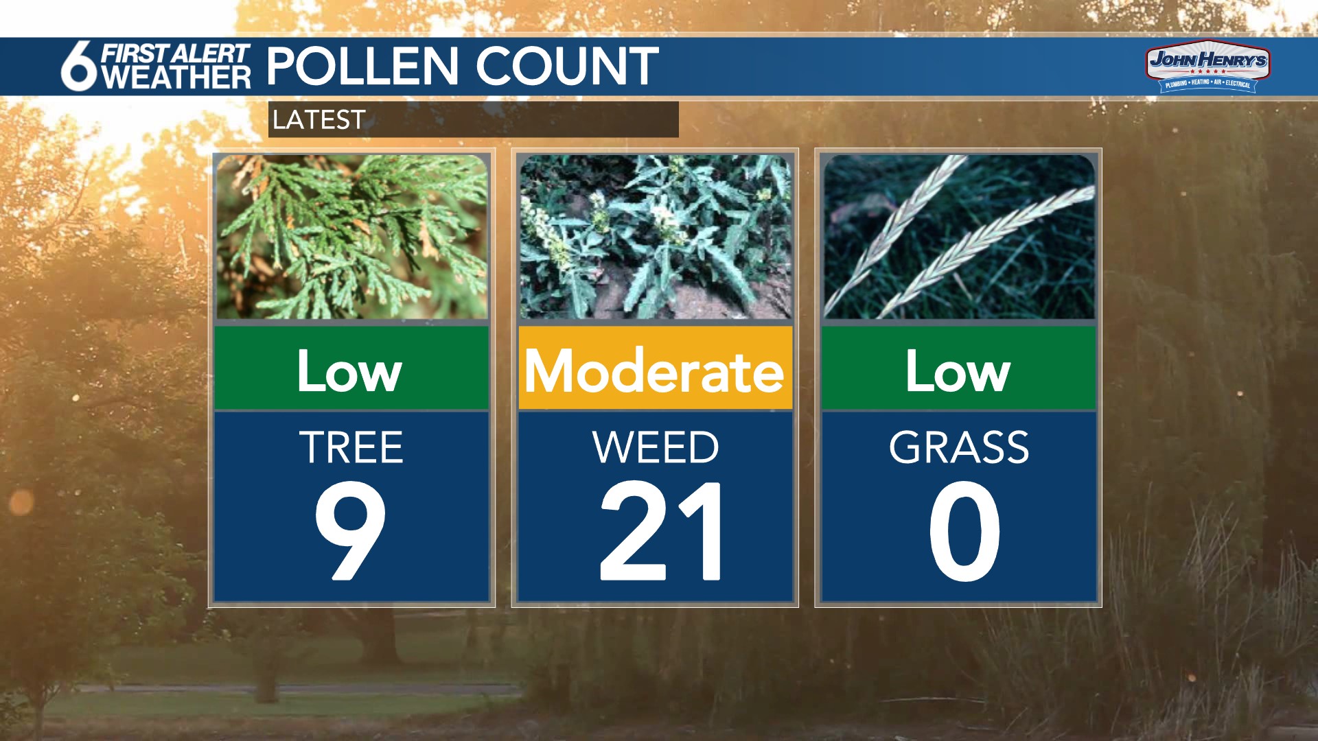 Pollen Count