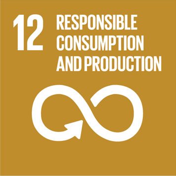 GOAL 12: RESPONSIBLE CONSUMPTION AND PRODUCTION