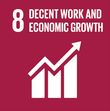 8. Decent work and economic growth