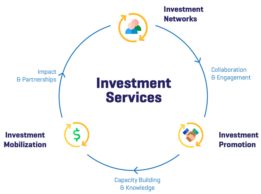 Investment Services