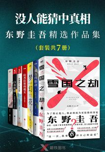 没人能猜中真相：东野圭吾精选作品集（套装共7册）