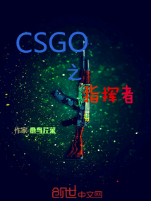 CSGO之指挥者