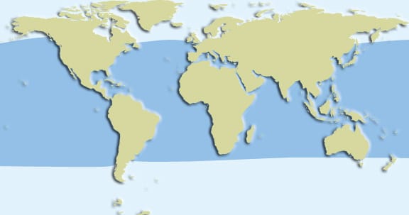 short finned pilot whale habitat