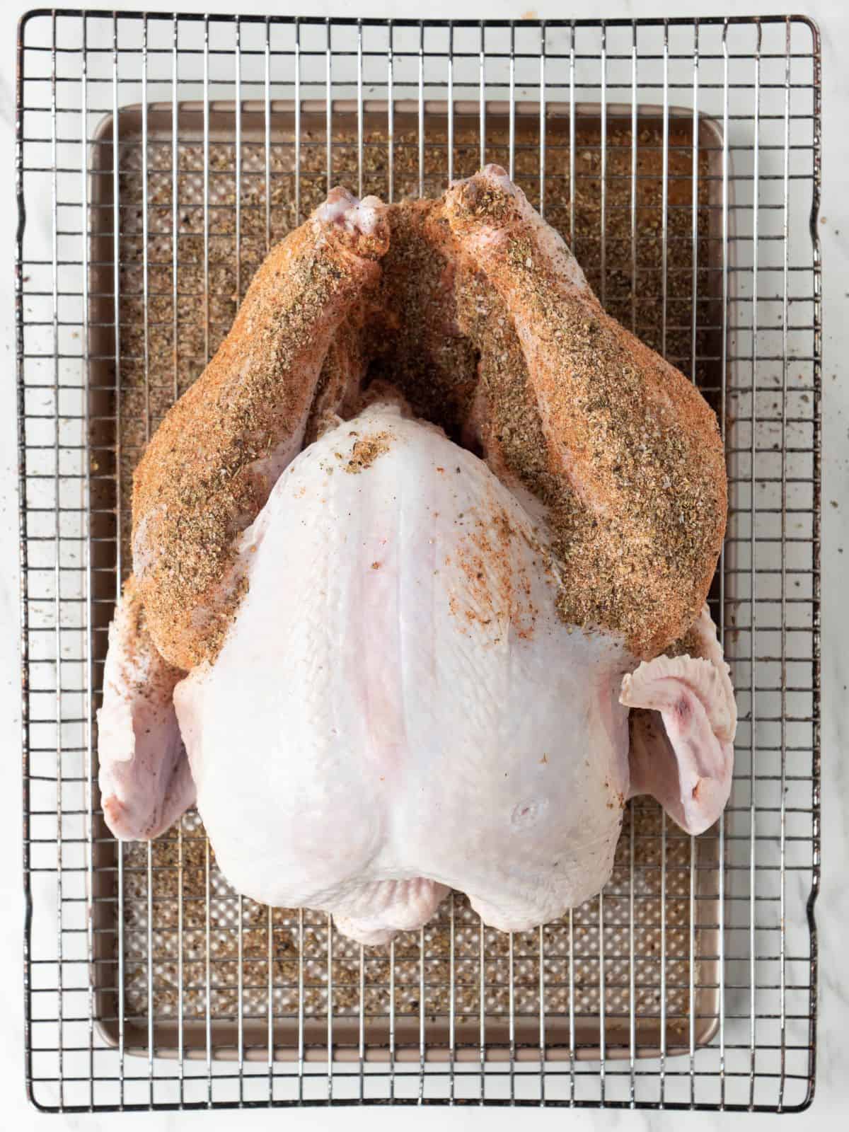 A baking sheet with a wire rack with a turkey on top, its legs partially rubbed with dry brine.