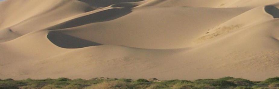 Gobi Desert, Mongolia