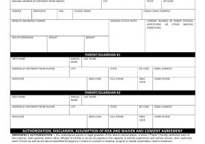 Soccer Player Contract Template Lausl Player Registration form