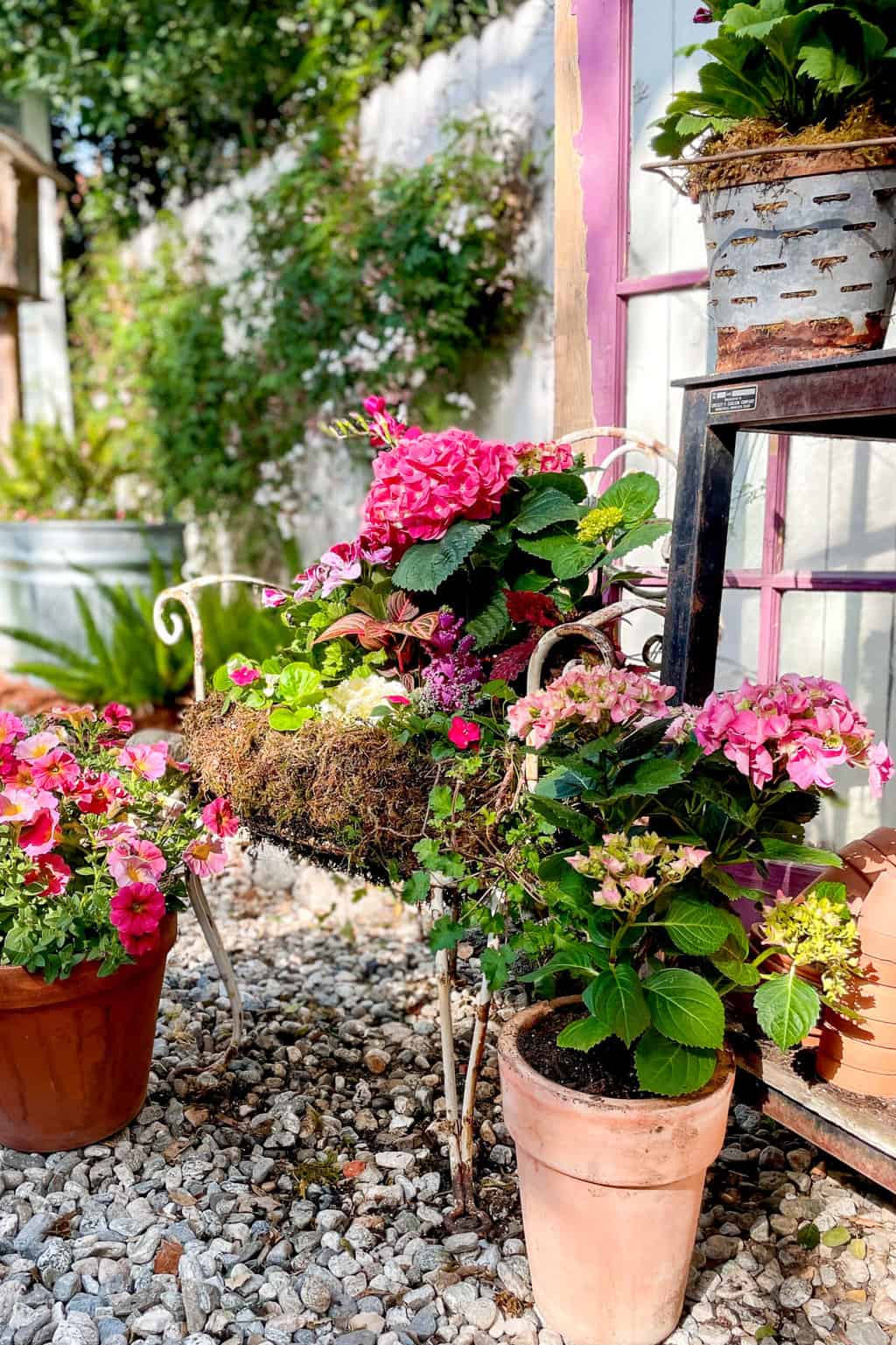 Planted chairs in the garden