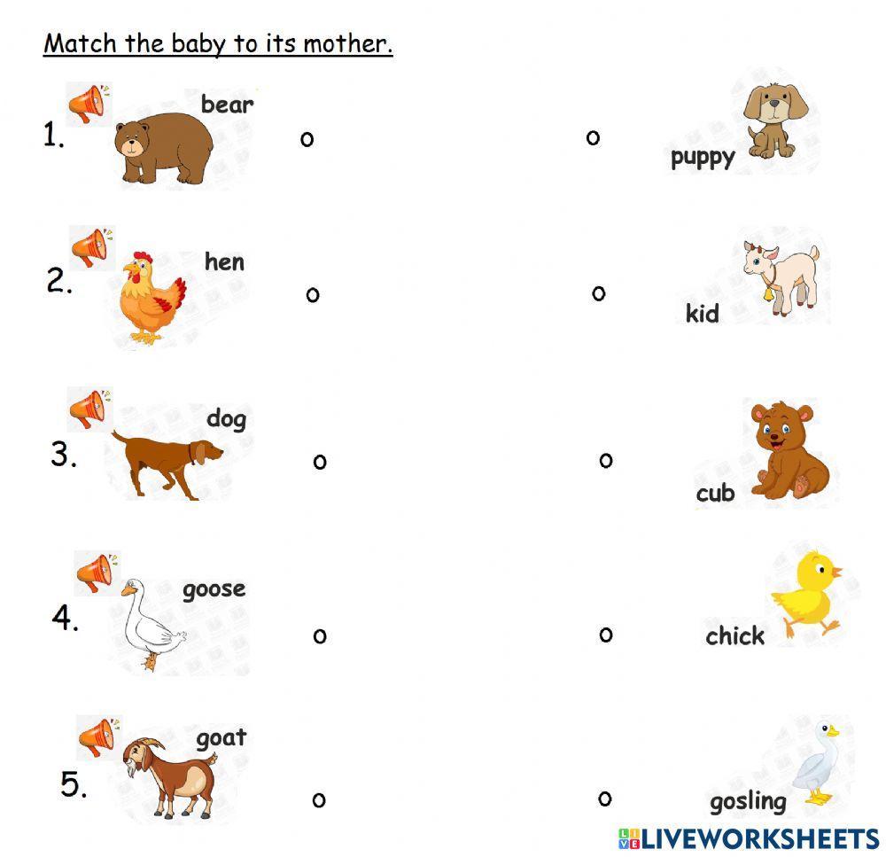 Animals and Their Babies online worksheet | Live Worksheets ...