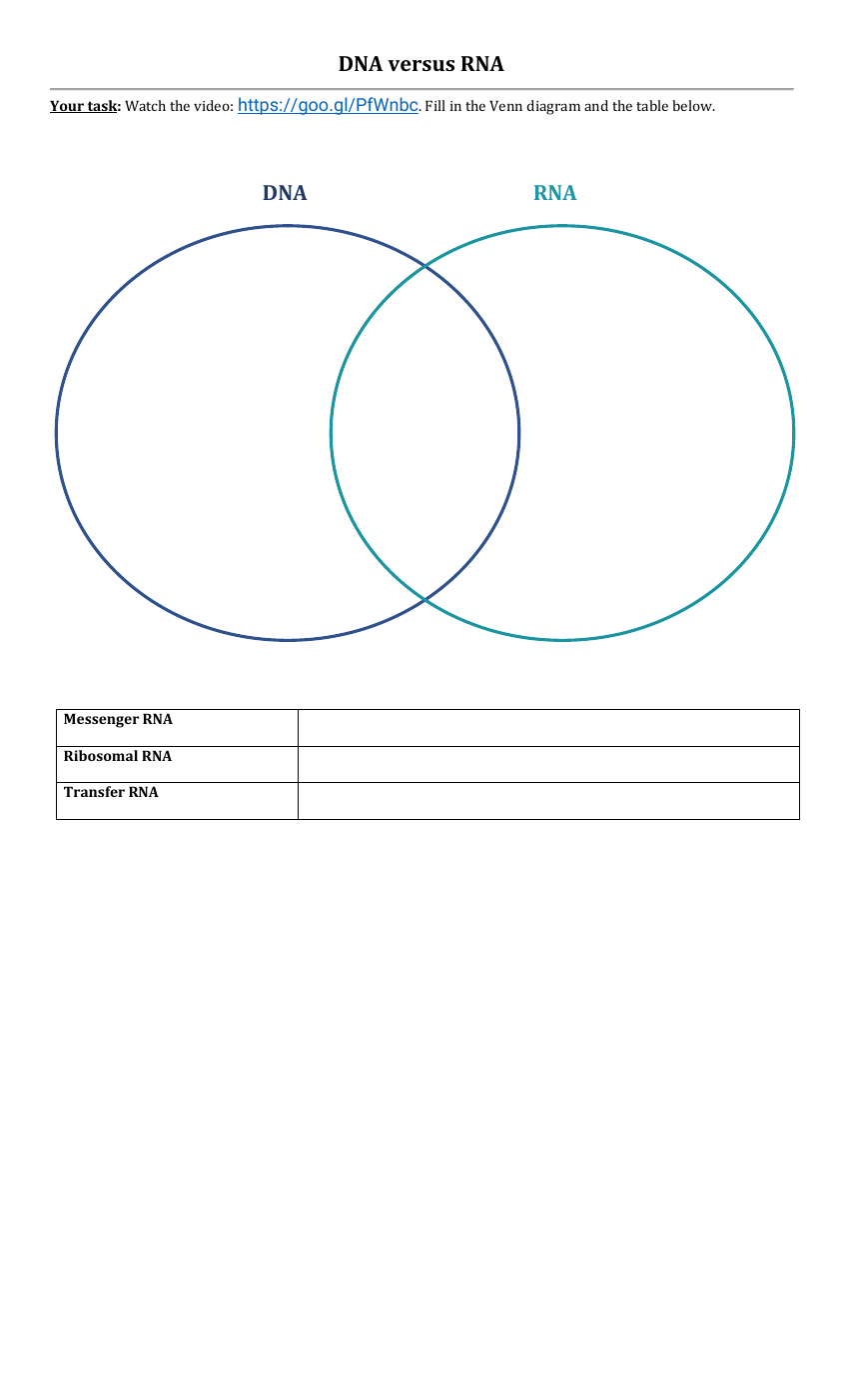 DNA versus RNA Video Worksheet | Science 8th Grade - Worksheets Library