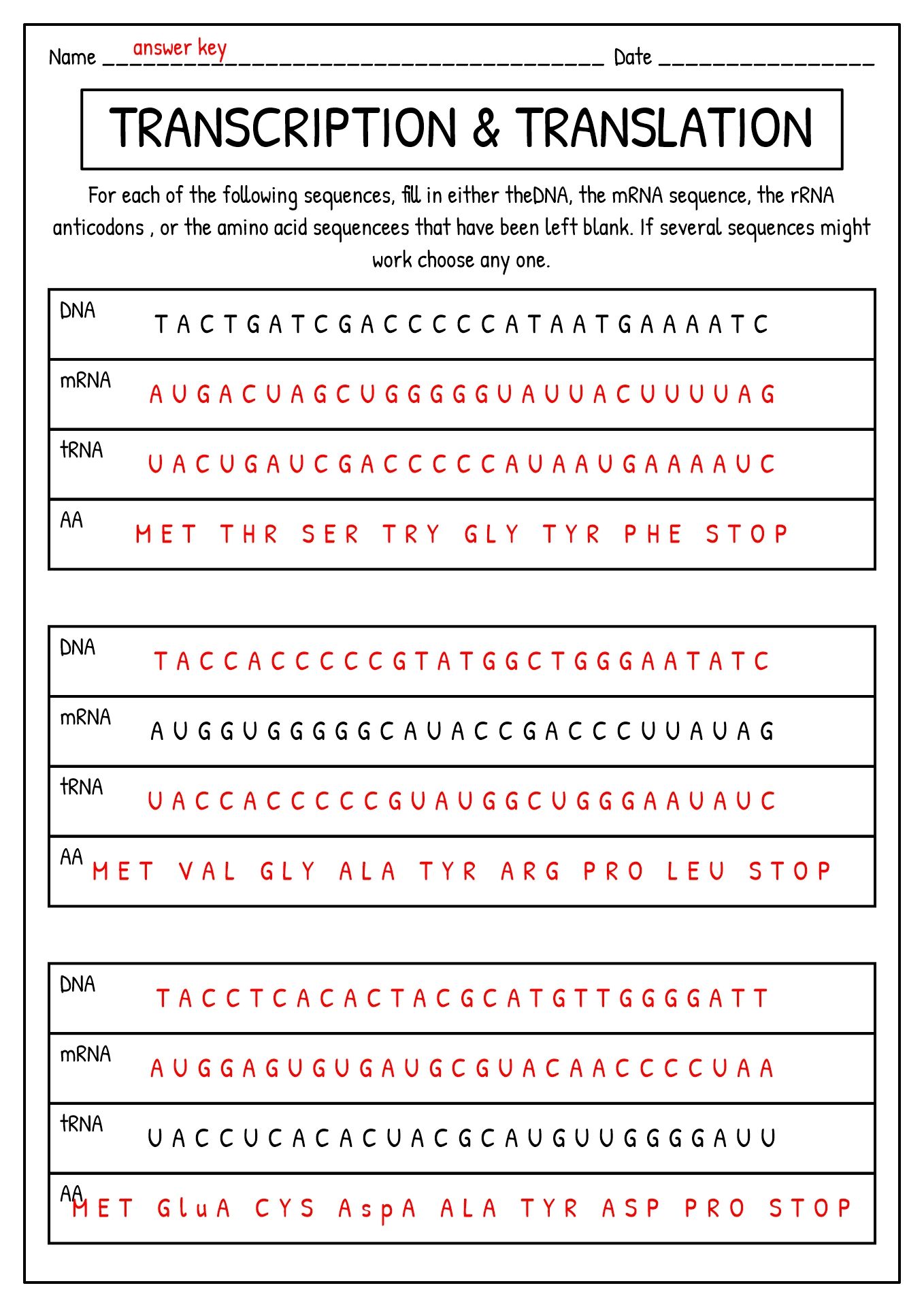 19 DNA Synthesis Worksheet - Worksheets Library