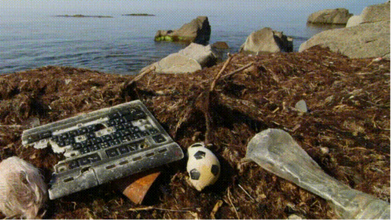 Ocean pollution