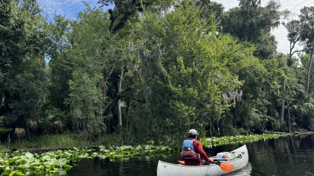 Article thumbnail: florida orlando city break nature kayaking hikes