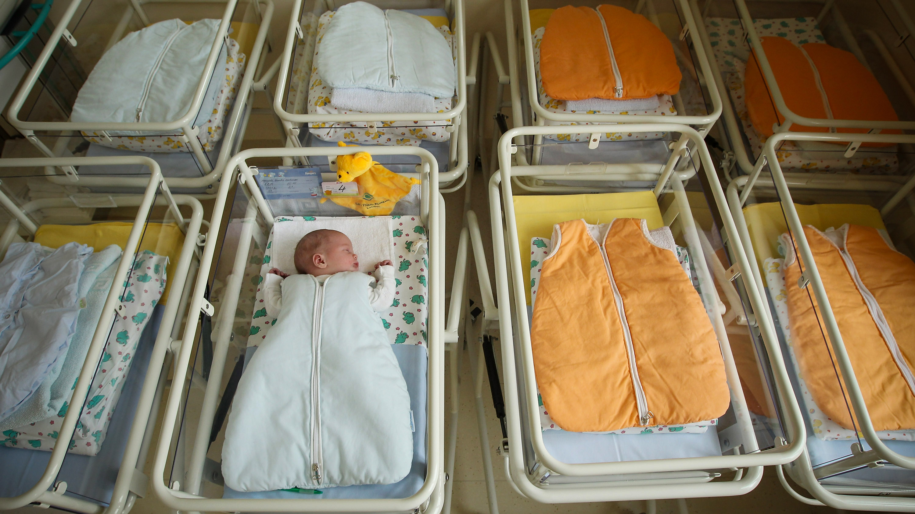 a single sleeping newborn in rows of cribs at a maternity ward