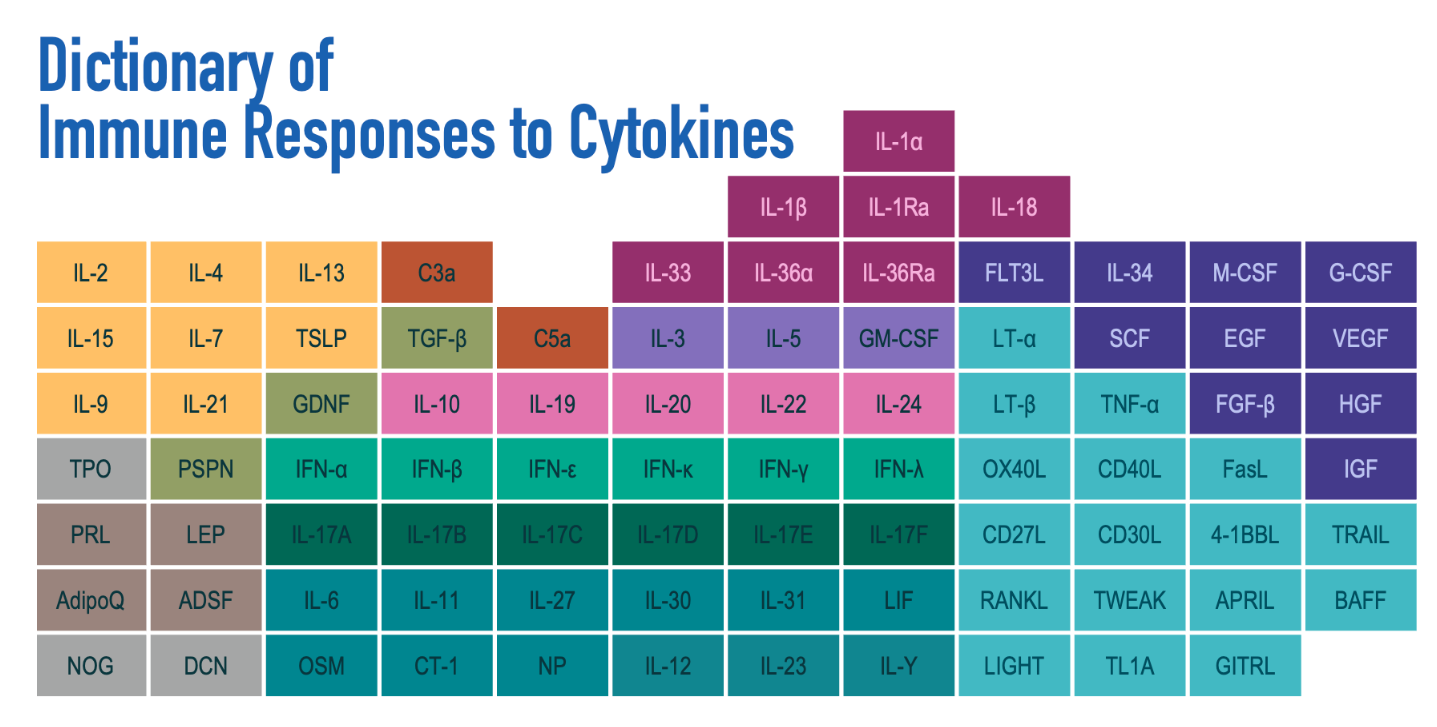 Dictionary of Immune Responses to Cytokines with a color-coded grid in the style of a periodic table