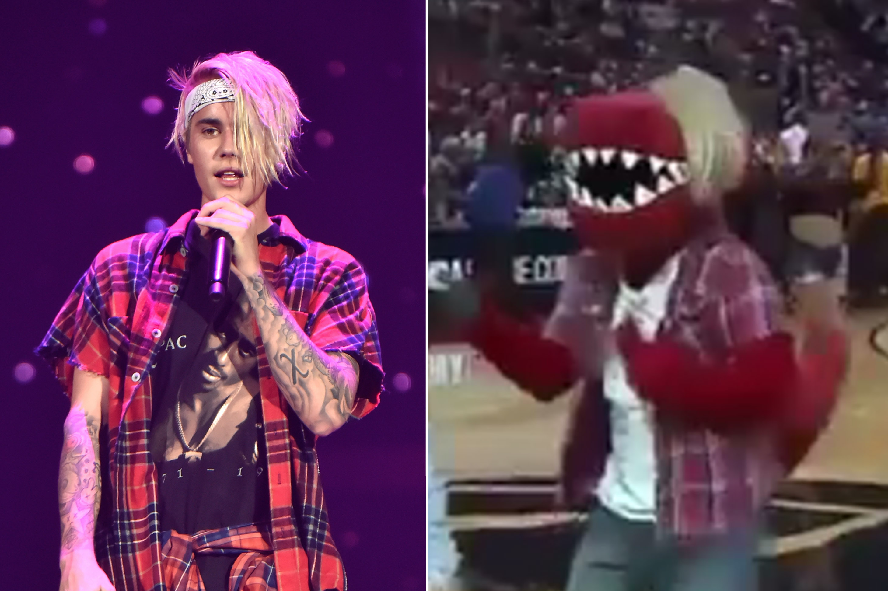 bieber, raptor