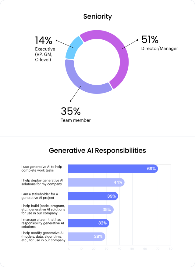 AI survey breakdown by seniority and generative AI responsibilities