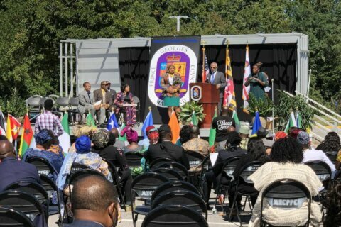 Growing DC-area African population celebrates heritage this month