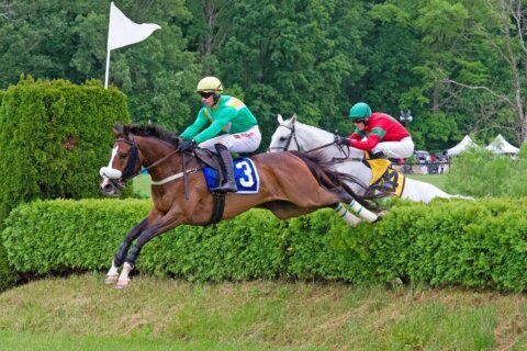 Hold onto your fancy hat: Upcoming Gold Cup in Va. moved for safety concerns