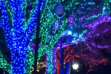 WATCH: No pandas? No problem. DC’s National Zoo shines brighter than ever this season