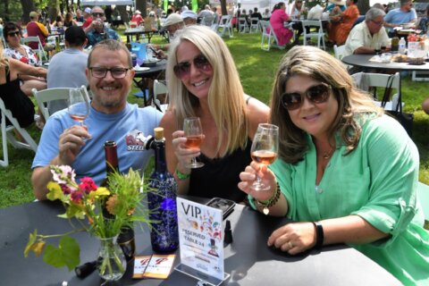 Things to do in the DC area: Purcellville Wine & Food Festival, free gelato … and more!