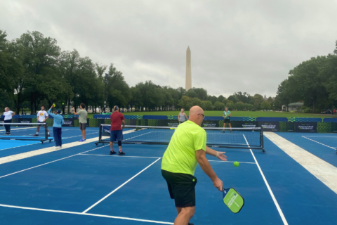 Part of the National Mall became a giant pickleball court