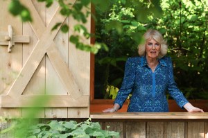 LONDON, ENGLAND - MAY 20: Britain's Queen Camilla reacts during the 2024 RHS Chelsea Flower Show on May 20, 2024 in London, England.  The Chelsea flower show is held annually in the grounds of the Royal Hospital Chelsea. (Photo by Adrian Dennis - WPA Pool/Getty Images)