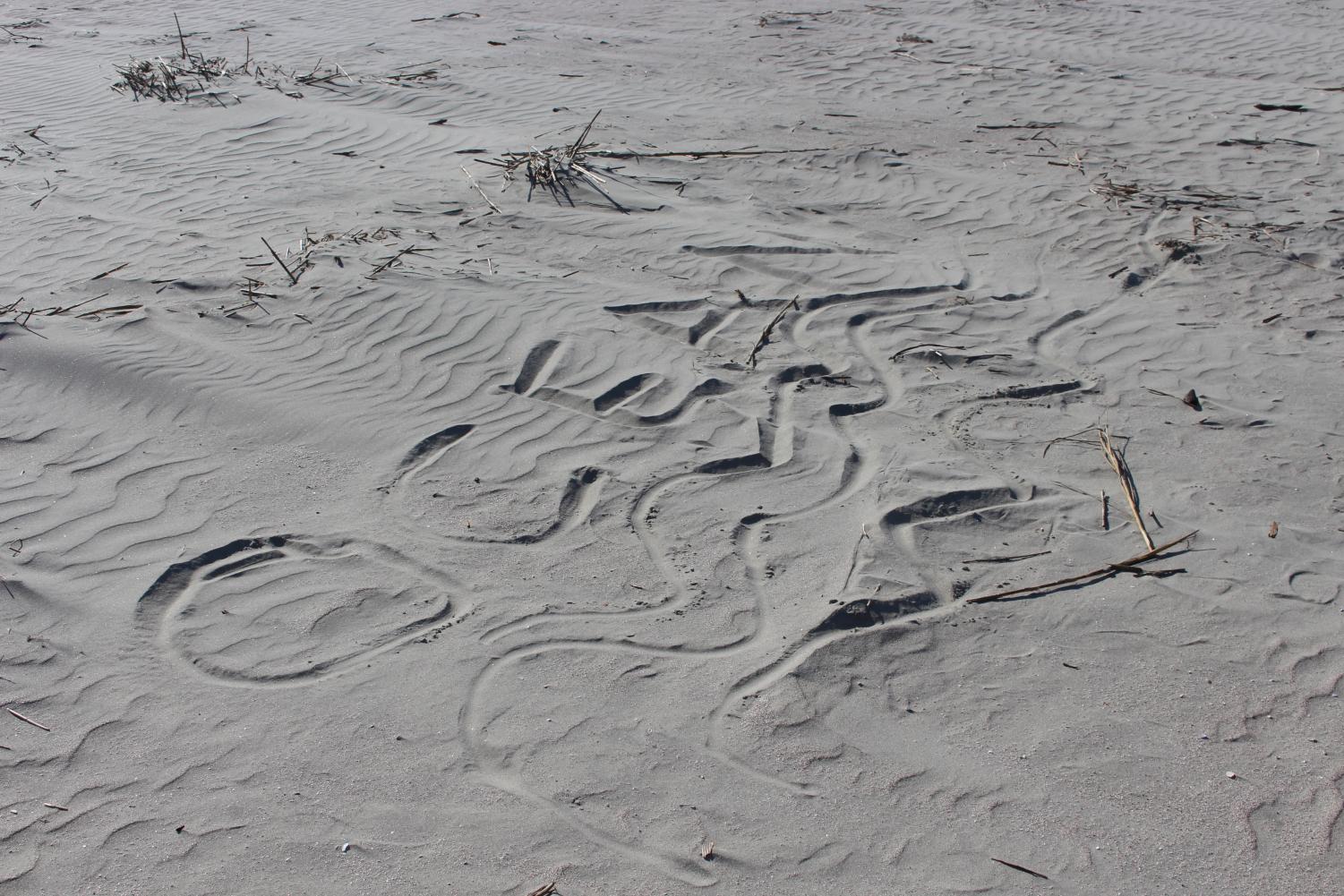 Messaging using Beach Sand Art… – A Backpack Journalist