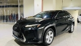 2023 Lexus 凌志 UX