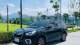 2019 Subaru 速霸陸 Forester