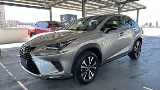 2020 Lexus 凌志 Nx