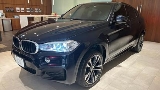 2018 BMW 寶馬 X6