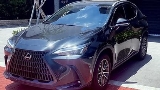 2023 Lexus 凌志 NX